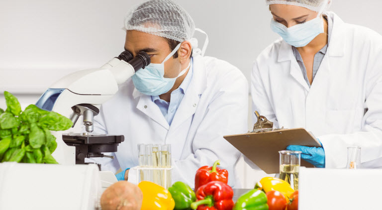 Food safety inspection