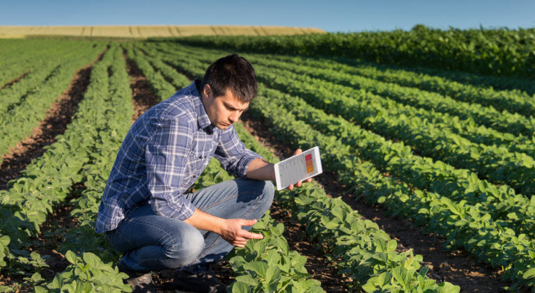 Food safety in the supply chain
