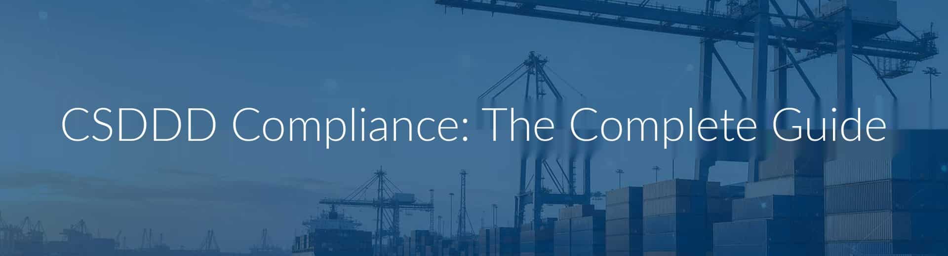 Container ship and gantry cranes at an international shipping port — illustrating the global value chain at the heart of CSDDD due diligence