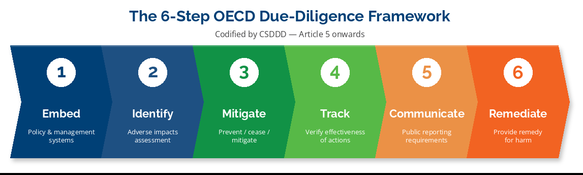 OECD 6-step due diligence framework diagram: embed, identify, mitigate, track, communicate, remediate — codified by CSDDD
